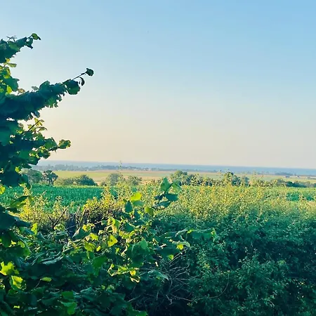 La Balneo Vue