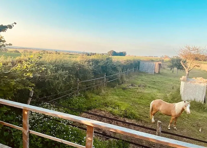 La Balneo Vue シャレー Bazenville